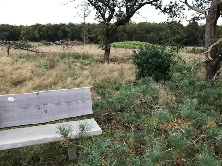 Zen-Bungalow No 1 Met Sauna En Hottub Rheezerveen Eksteriør billede